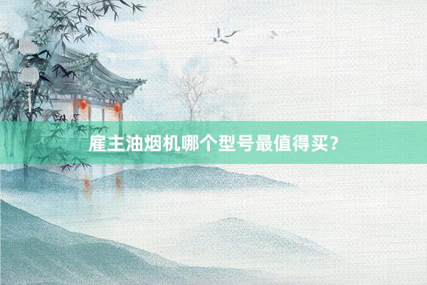 雇主油烟机哪个型号最值得买？